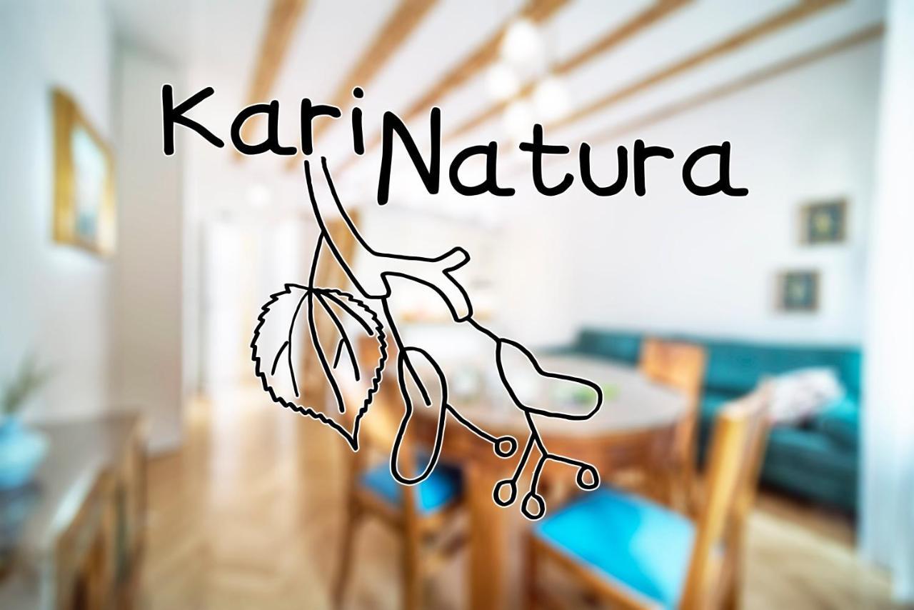 לובליאנה Karinatura מראה חיצוני תמונה
